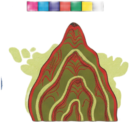Swirl Color