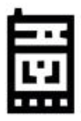 bug 5