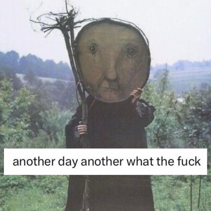 meme 5