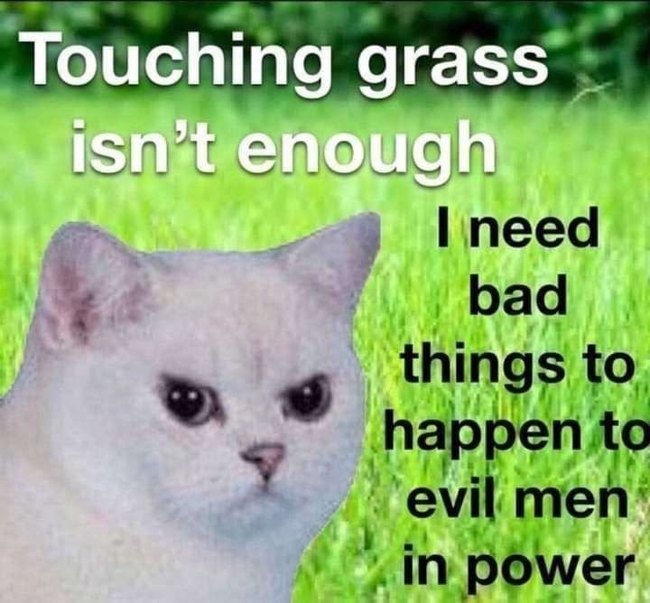 meme 1