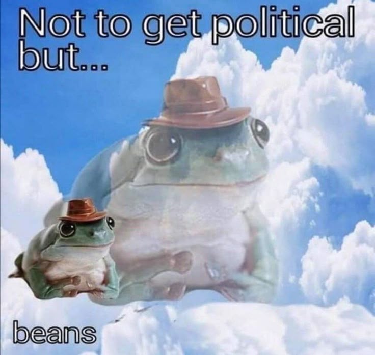 meme 3